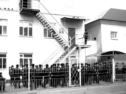 Колония иркутск