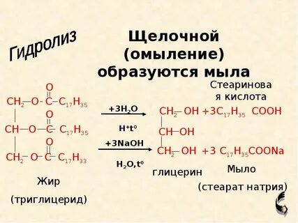 Стеариновый жир