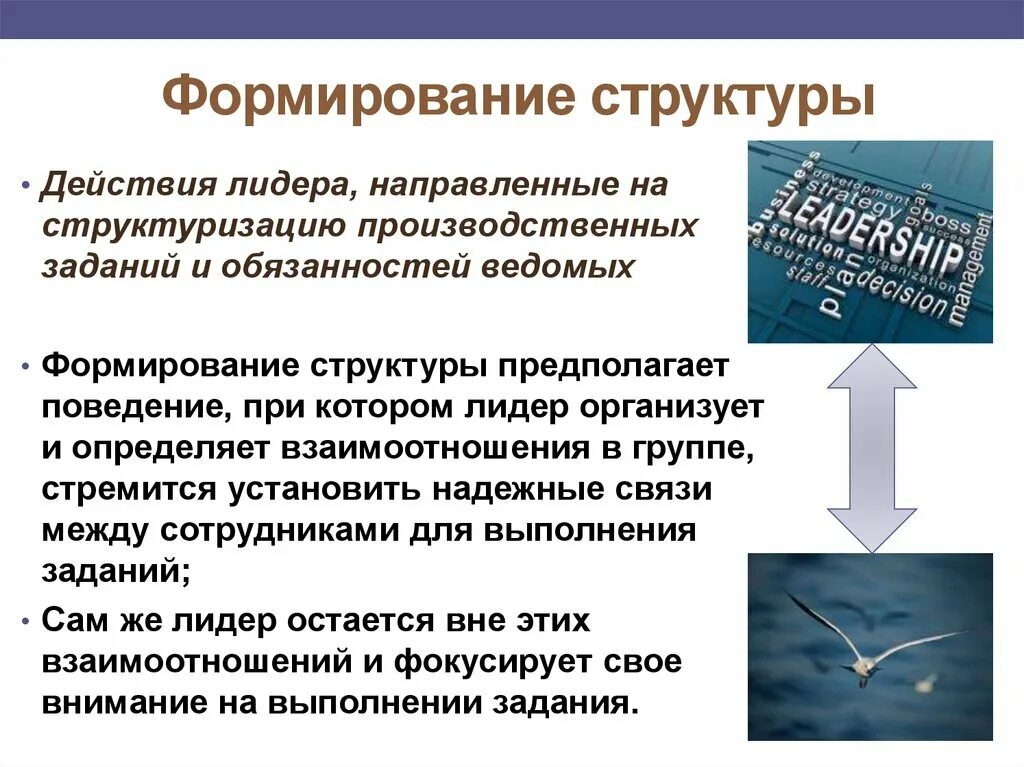 Связь с составом предложения. Формирование структуры. Формирование стриктур что это. Структура развития. Структурное формирование..