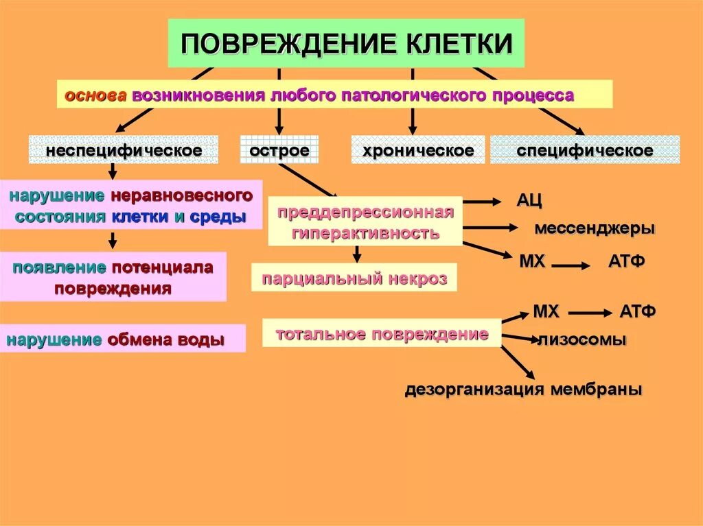 Умеренные неспецифические изменения