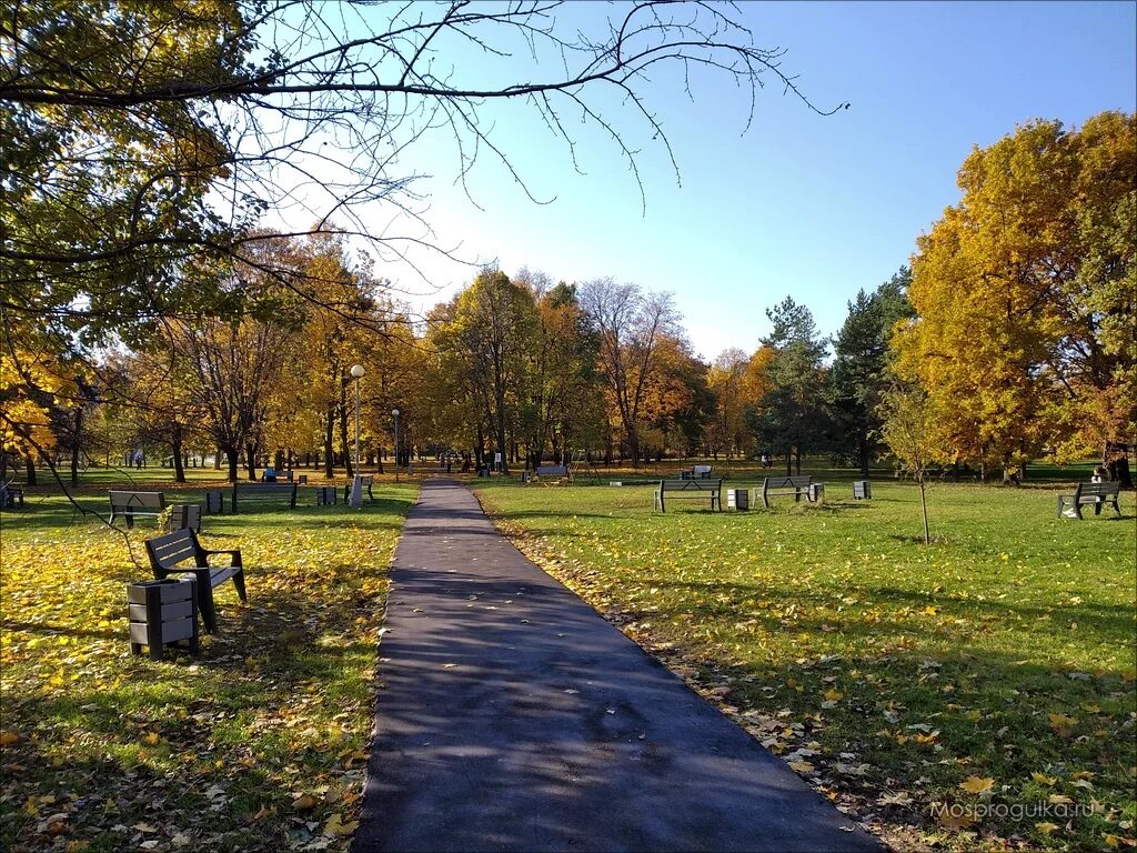долгопрудный городской парк. д казинка елецкий район липецкая область. памятник в парке урицкого казань. центральный парк иваново. парк урицкого памятники.