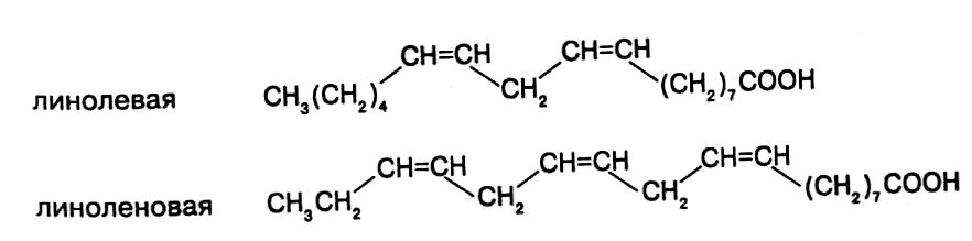 Линолевая кислота свойства. Структурная формула линолевой кислоты. Линоленовая кислота формула. Линолевая и линоленовая кислота формула. Линолевая кислота формула.