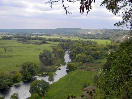 Курск сунджа