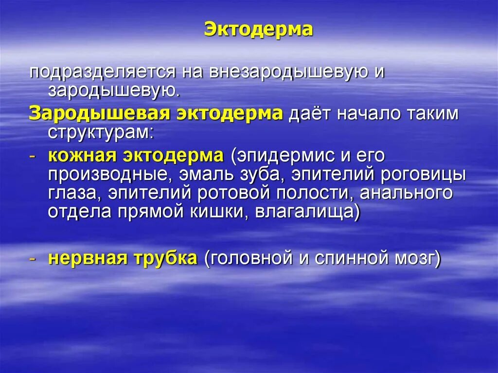 Спинной мозг из эктодермы. Зародышевая эктодерма. Эктодерма дает начало. Внезародышевая эктодерма дает начало. Образование внезародышевой эктодермы.