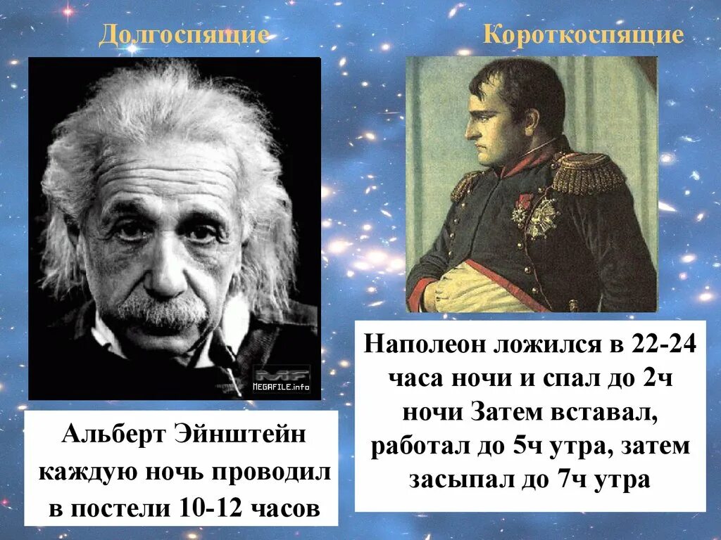 Сколько спал дали. Сны Эйнштейна. Эйнштейн спал 3 часа в сутки. Сколько спал Эйнштейн.