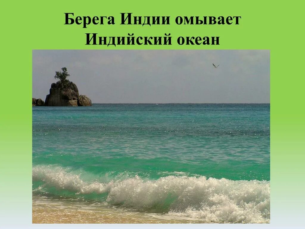 Берег индийского океана. Индийский океан омывает Индию. Индийский океан омывает берега. Индийский океан берег Индии.