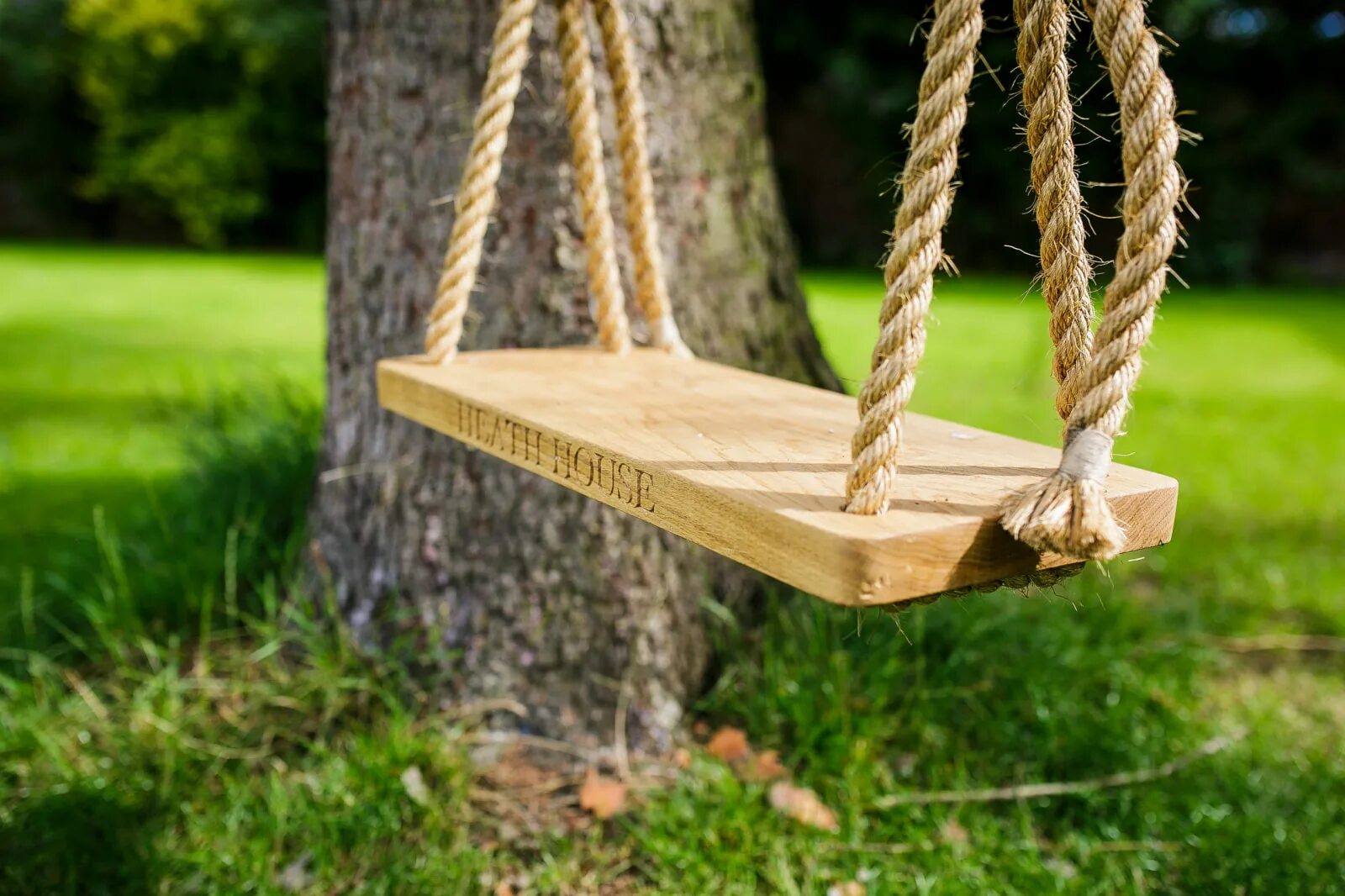 Swing tree