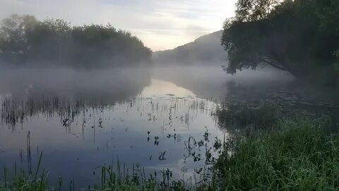 Вода в москве реке звенигород