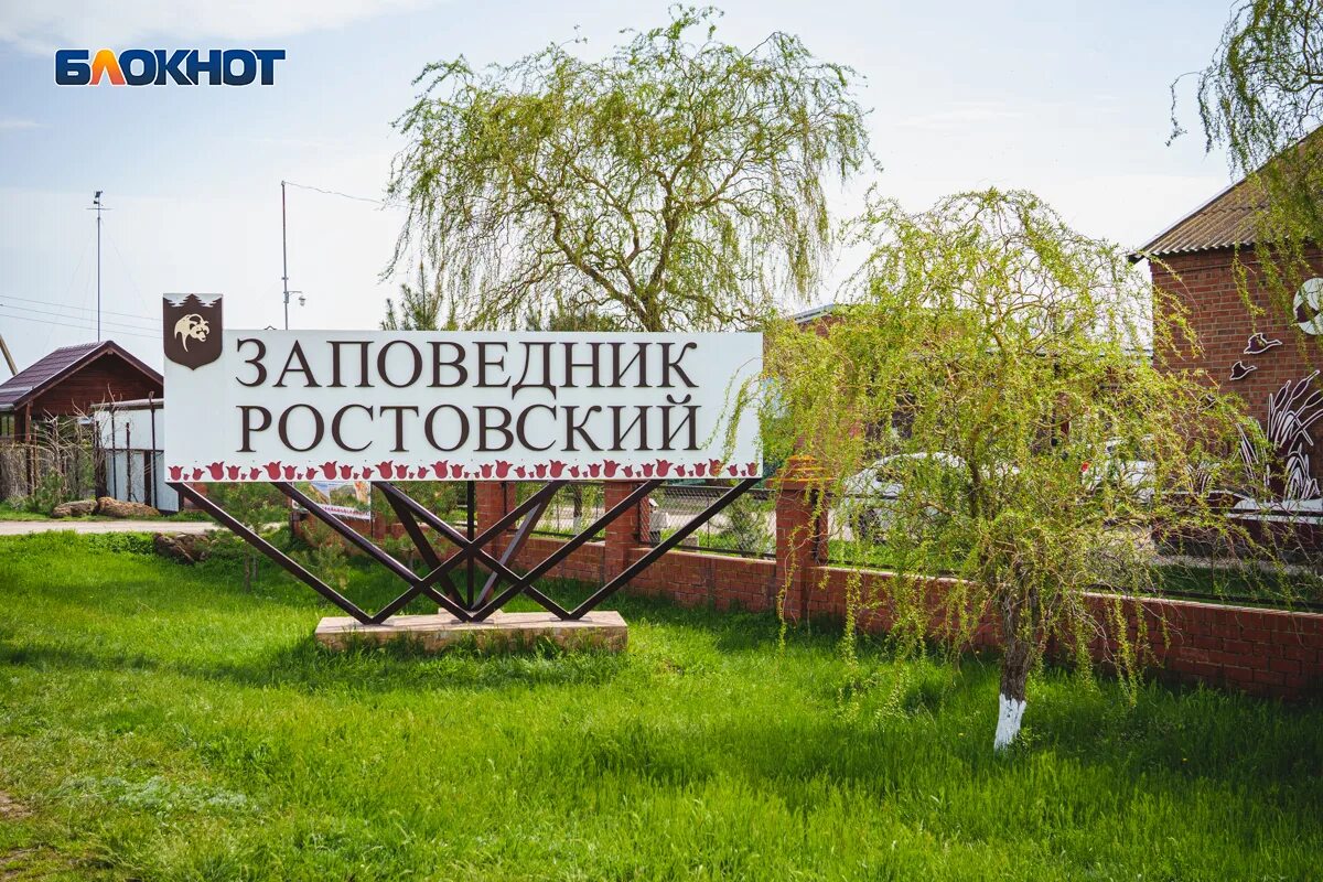 Рп5 поселок орловский ростовской. Орловский район фестиваль тюльпанов. Орловский заповедник Ростовская область. Фестиваль тюльпанов в Орловском районе Ростовской области 2023. Орловский район заповедник Ростовский поселок.