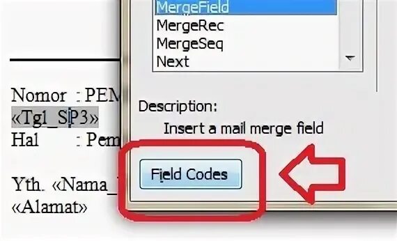 Field codes. Field codes