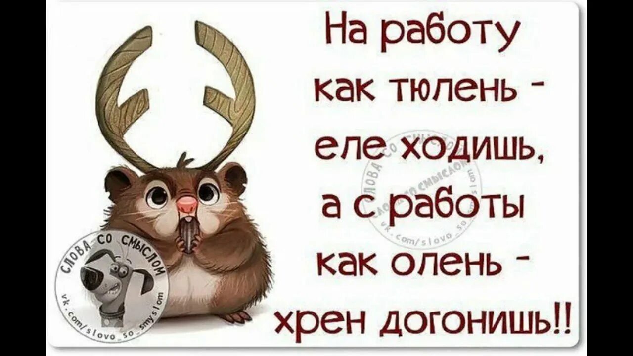 Картинка про работу прикольная с надписью. Смешные фразы про работу. Афоризмы про работу прикольные. Цитаты про работу смешные. Прикольные высказывания про работу.