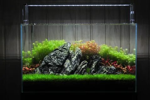 Ada tank 360