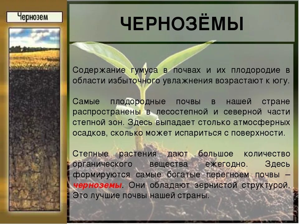Характеристика чернозема. Чернозёмные почвы характеристика. Плодородие черноземных почв в России. Чернозём характеристика почвы. Наиболее плодородными почвами являются чернозем