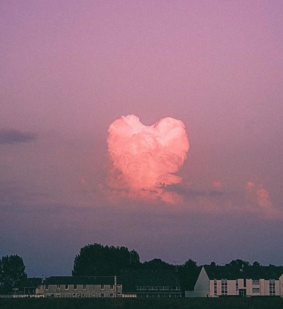 Pale heart. Сердце арт. Pale heart. Pale keeper группа. Сердце анатомия.