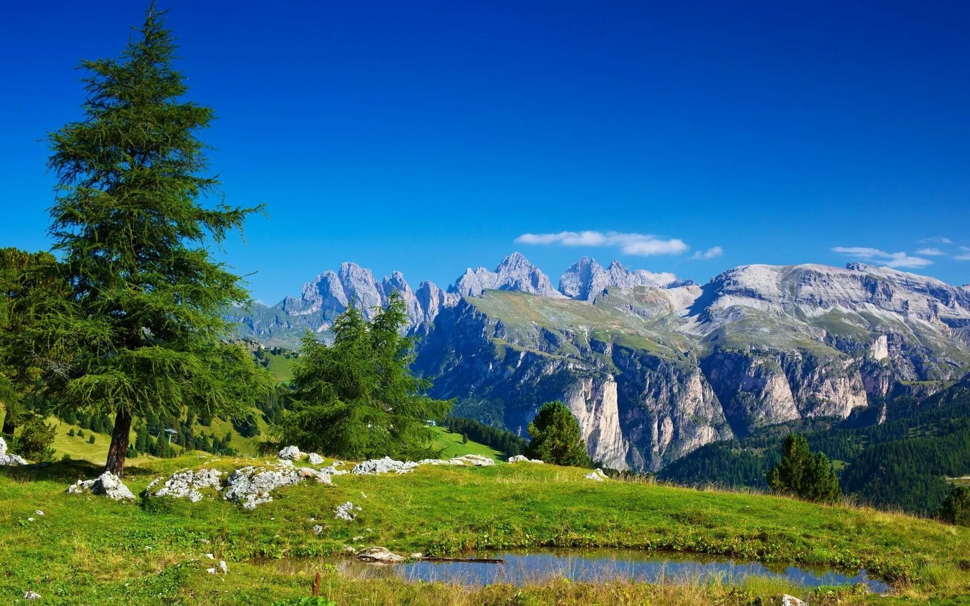 Ото красивых. Альпийские Луга Италии. Карнийские Альпы. Кордильеры Альпийские Луга. Альпы Италия пейзаж.