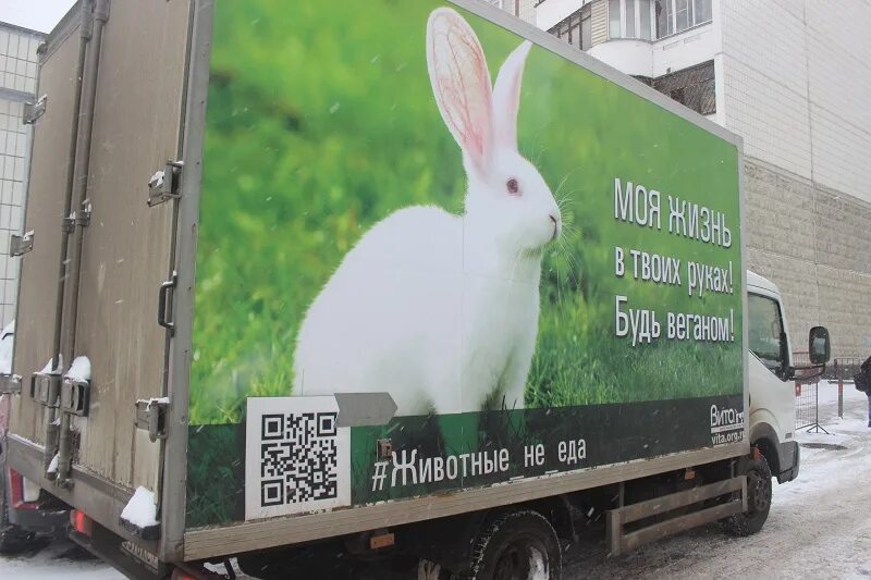 креативная реклама экология. слоган для приюта собак. без рекламы про животных. интересные звери. возьми животных из приюта.