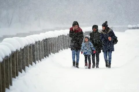 Минус 3 снег