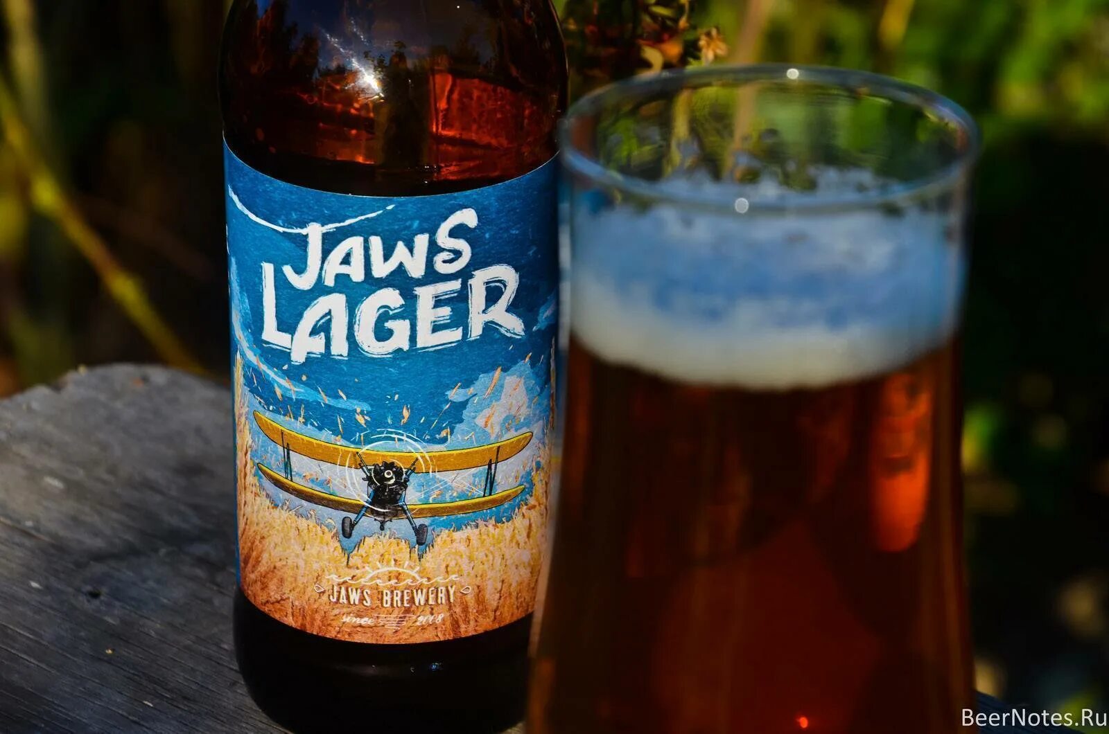 Пиво лагер светлое фото. Джоус лагер пиво. Пиво Джоус лагер светлое. Jaws Lager ( Джоус лагер). Пиво Джоус лагер непастеризованное.