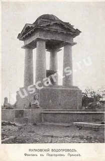 Кедр пулково