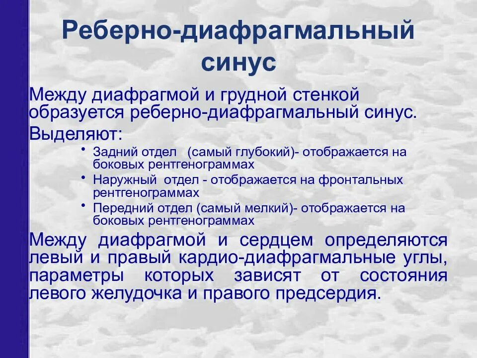 Реберно диафрагмальный синус