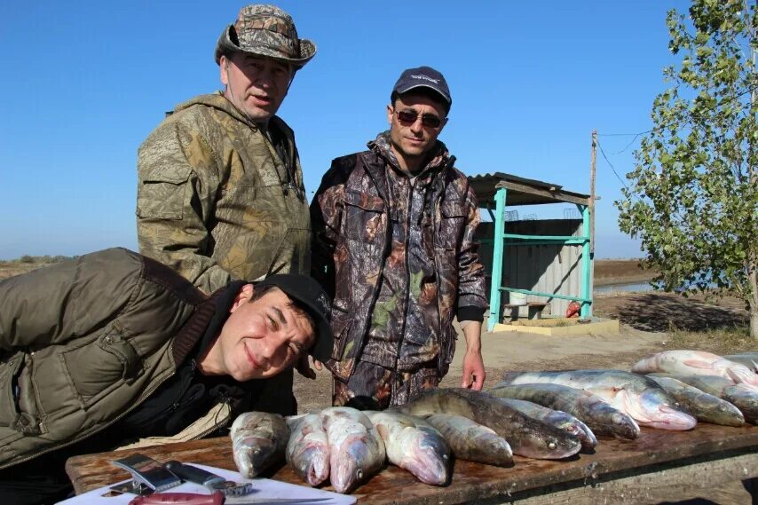 Рыбалка на волге сегодня. Харабали Астраханская область рыбалка. Харабали рыбалка. Рыбалка на Ахтубе. Ахтуба Харабали рыбалка.