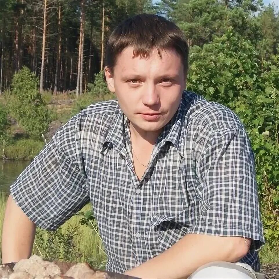 Лаковкин олонец. Лаковкин олонец