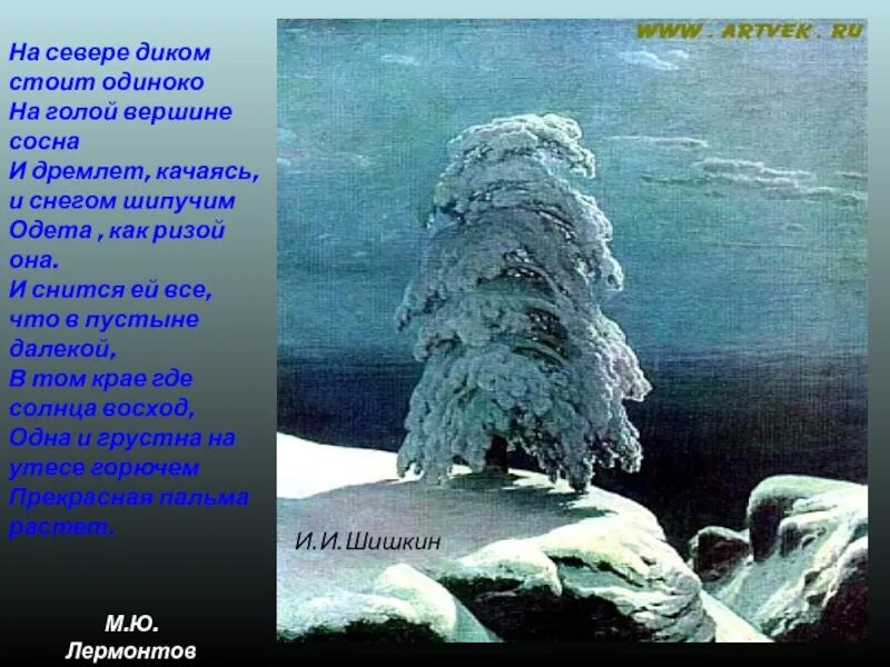 Стихотворение на севере. М.ю.лермонтова на севере диком. иллюстрация к стихотворению лермонтова на севере диком. на севере лермонтова диком. одинокая сосна лермонтов.