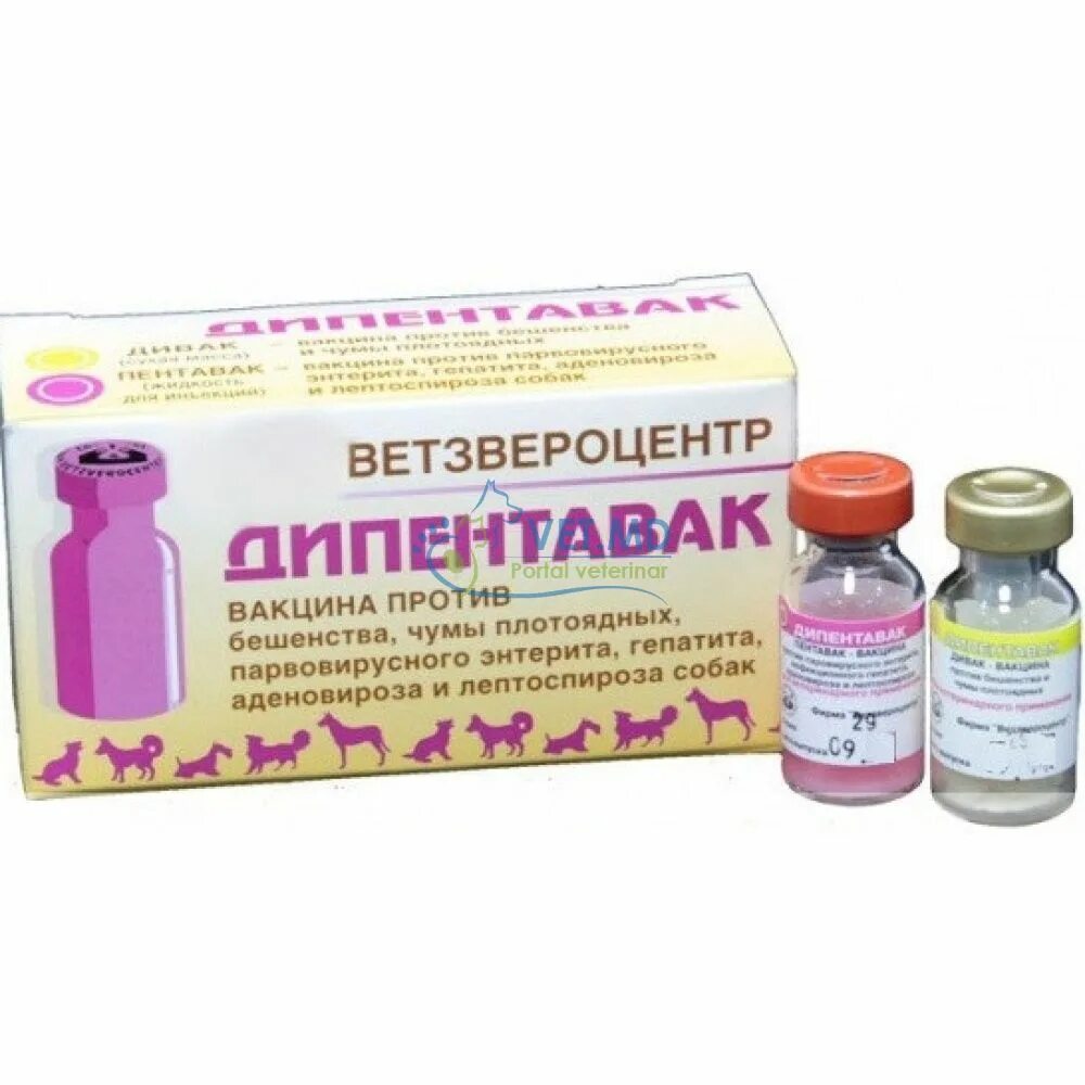 Депентоваквак вакцина для собак. Гексаканивак вакцина для собак. Вакцина для щенков Дипентавак. Вакцина Дипентавак для кошек.