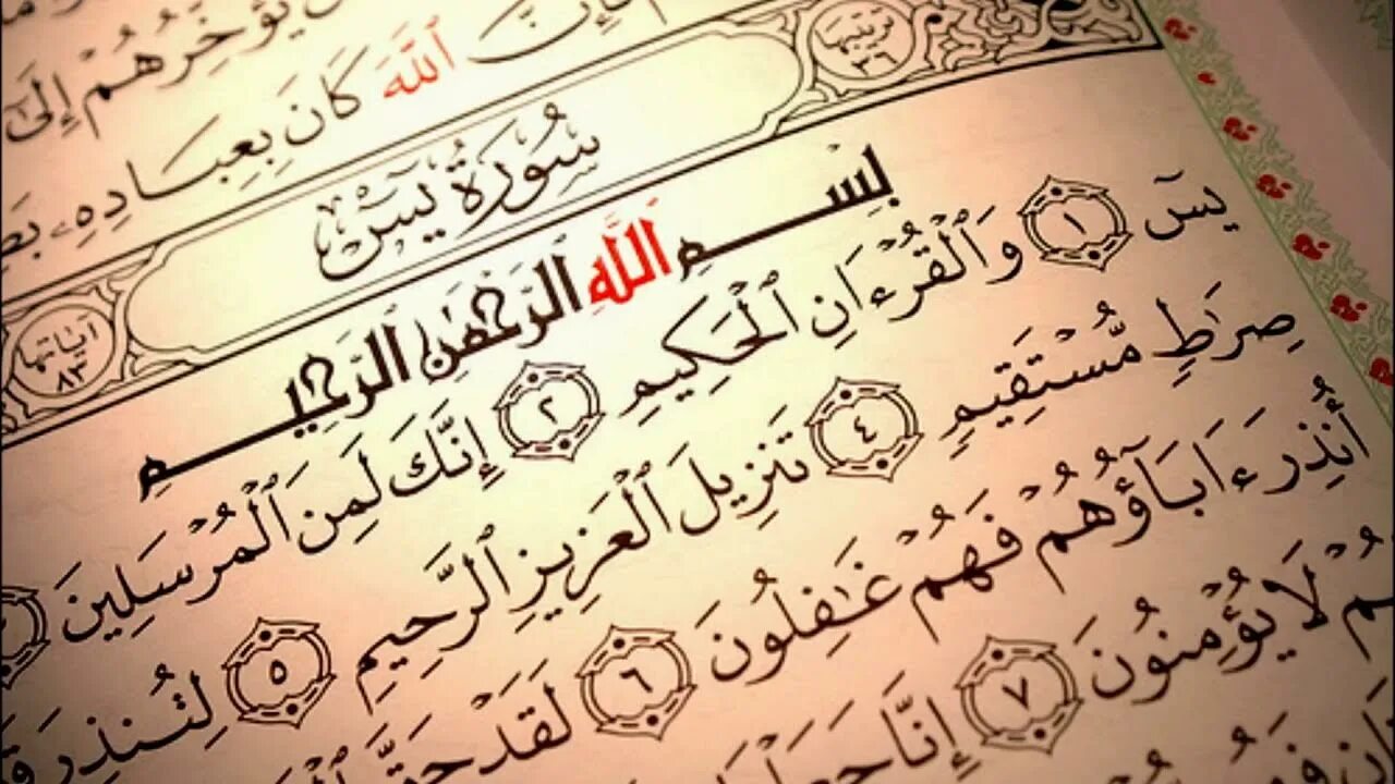 На какой странице сура ясин. Коран ясин. Коран Сура ясин. Сура 36 ясин. Сура ясин на арабском.
