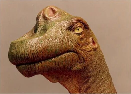 Голова тираннозавра парк юрского периода. Голова динозавра. У него одна ноздря на голове динозавр. Тираннозавр парк юрского периода. Строение головы диплодока.