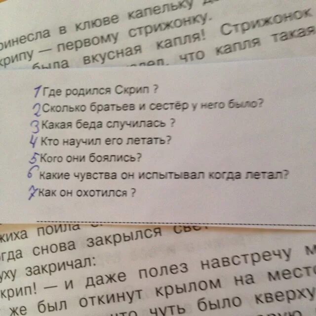 Стрижонок скрип 5 вопросов. Вопросы по рассказу Стрижонок скрип. План к сказке скрип. Вопросы по рассказу Стрижонок скрип с ответами. Вопросы к сказке Стрижонок скрип 4 класс.