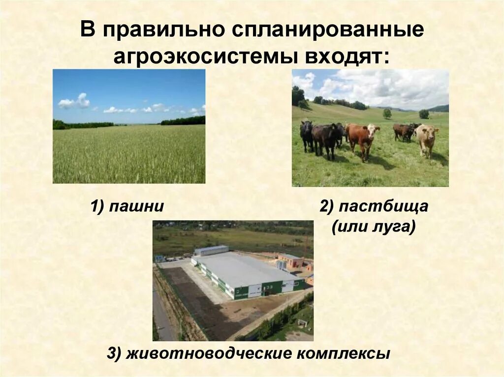 Каково значение агросообществ