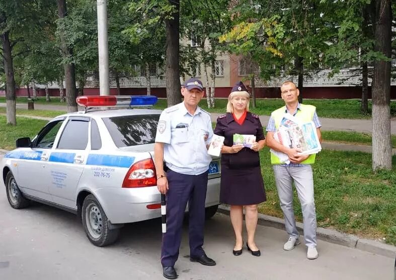 Программа гаишник