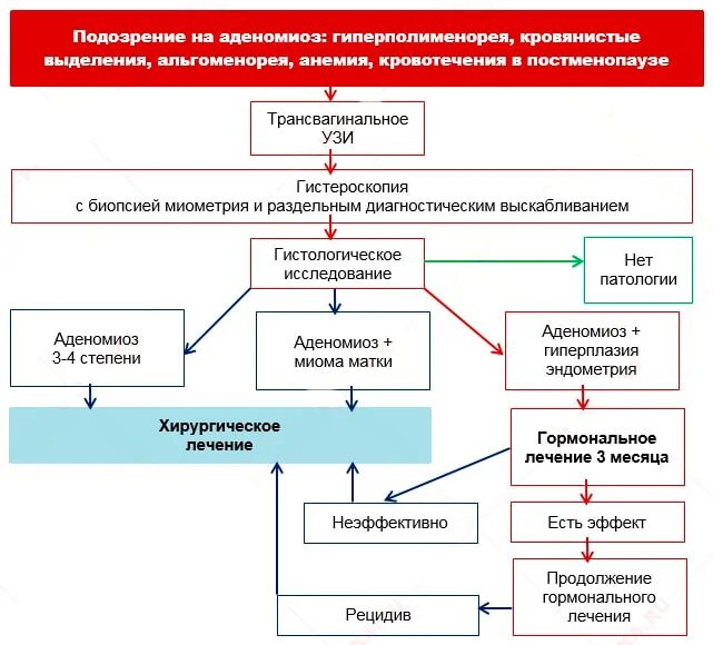 Терапия эндометриоза. Схема терапии эндометриоз. Алгоритм обследования миомы матки. Патогенез эндометриоза схема. Патогенез развития эндометриоза.