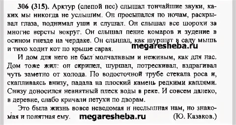 Диктант слепой пес. Диктант слепой пес Арктур. Арктур диктант. Контрольный диктант по русскому языку слепой пес. Текст про слепого