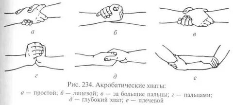 Хватка это