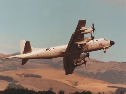P 3a