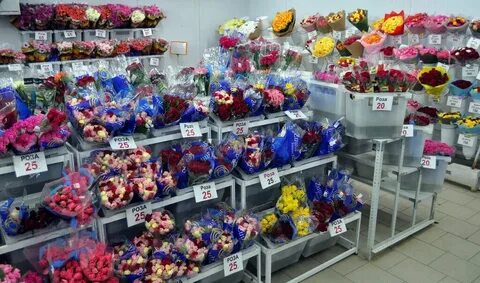 Магазин хомяк в туле каталог мясново