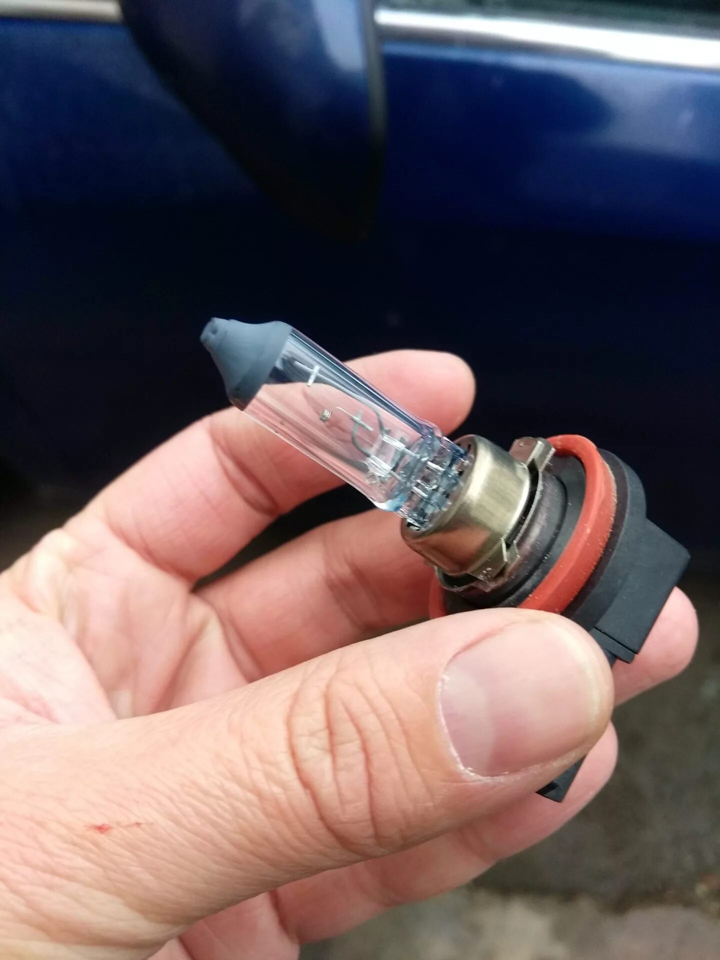 Лампа ближнего света ниссан альмера g15. Nissan almera g15 лампы ближнего света. Лампа ближнего света ниссан альмера g15 h11. Лампа противотуманной фары ниссан альмера g15. Лампочка птф ниссан альмера g15.