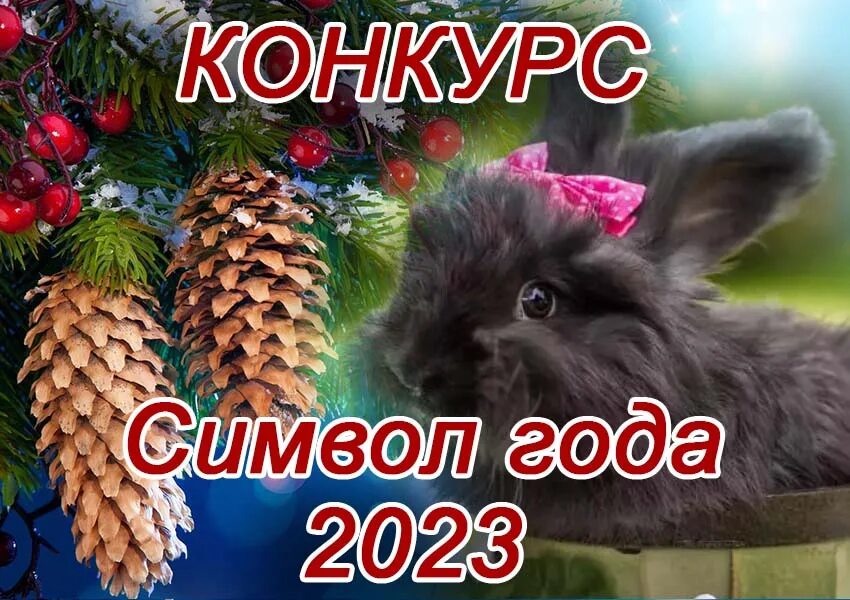 Символы нового года. Новый год 2023 символ. Новогодний конкурс полезный символ года. Конкурс Новогодняя игрушка 2023. Новогодний конкурс 2023