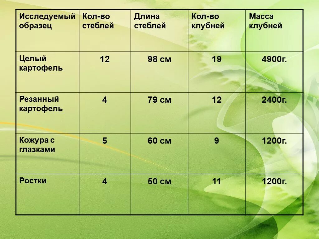 Температура почвы для посадки картофеля. Размер клубней картофеля для посадки. Размер клубня картофеля. Диаметр посадочного картофеля. Оптимальные Размеры посадочного картофеля.