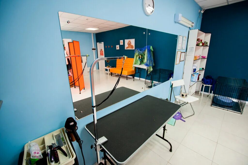 Груминг салон интерьер. Ветеринарный кабинет никитова 18. Зоосалон панда, пушкино. Зоосалон старая купавна. Цаца груминг салон.