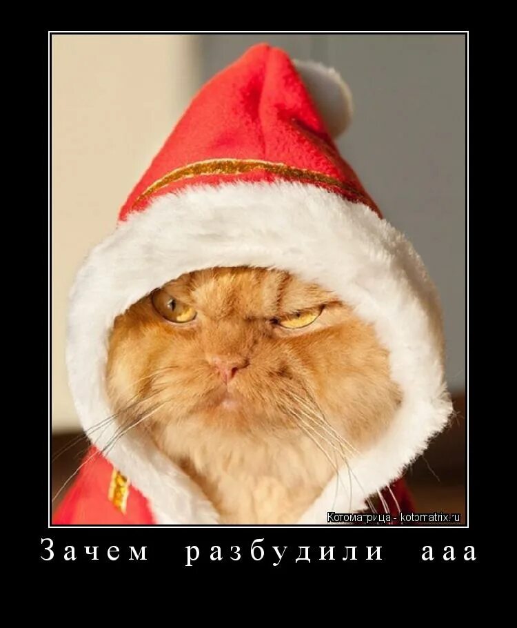 Если вы не чувствуете приближение праздника не расстраивайтесь. Настроение новый год цитаты. А вы чувствуете как новый год подкрадывается. Вы чувствуете как приближается новый год. Нет настроения на новый год.