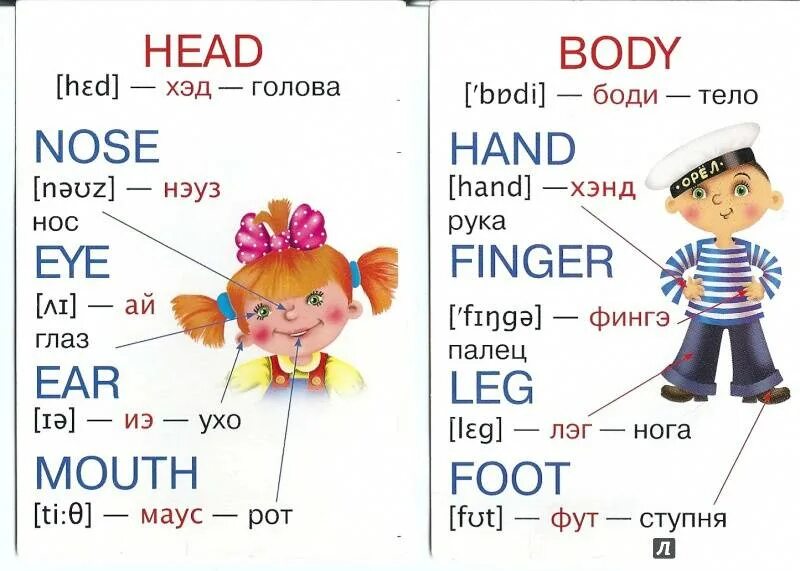 Английский с полного нуля. Английский для дошкольников. Английские слова для детей. Карточки для изучения английского языка для детей. Карточки с английскими словами.