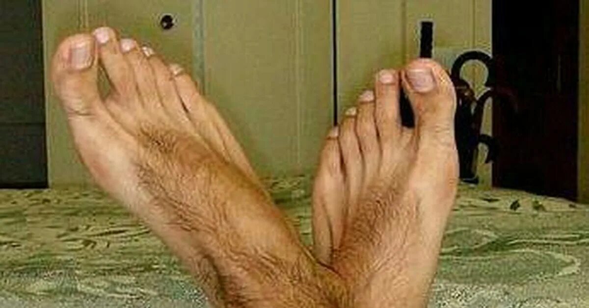 Hairy foot. Мужские ступни волосатые с растопыренными пальцами. Ступни волосатые пезды ноги живот. Ножки Стаса.