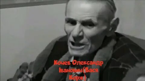Вася корж