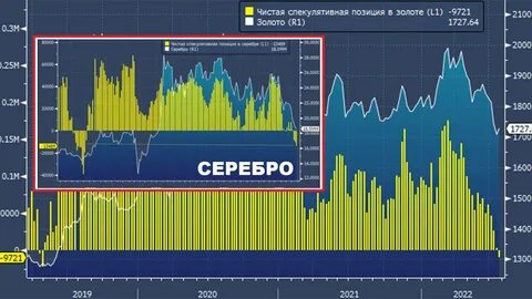 Чистая позиция