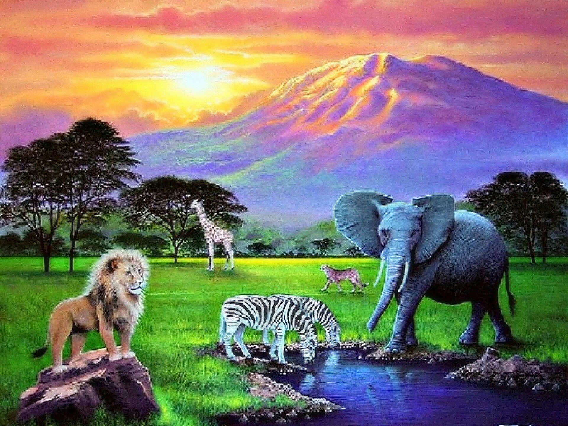 Тигр лев жираф слон. Африка природа живопись. Слоны на водопое. Африка иллюстрации. Лев и слон.