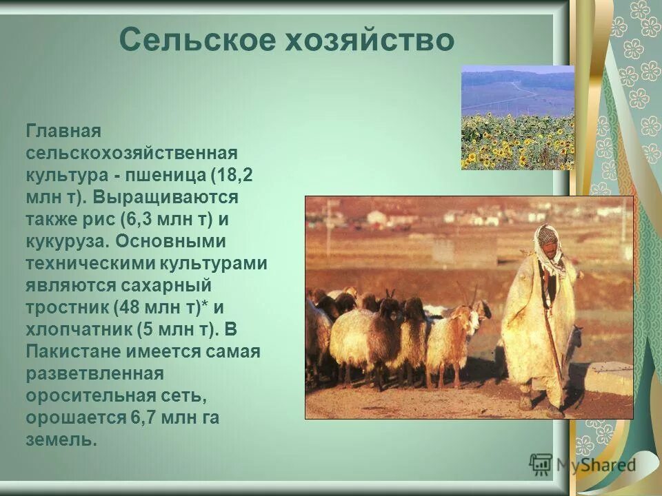 Аграрно-индустриальная страна это. Сельское хозяйство ирана. Сельское хозяйство ирана. Сельское хозяйство индии. Сельское хозяйство ирана отрасли.