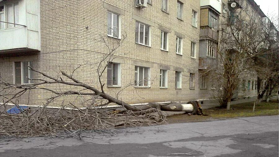 Щаденко каменск шахтинский. Щаденко 48 Каменск-Шахтинский. Каменск-Шахтинский улица Щаденко 48. Щаденко 9 Каменск Шахтинский. Щаденко 156 Каменск-Шахтинский.